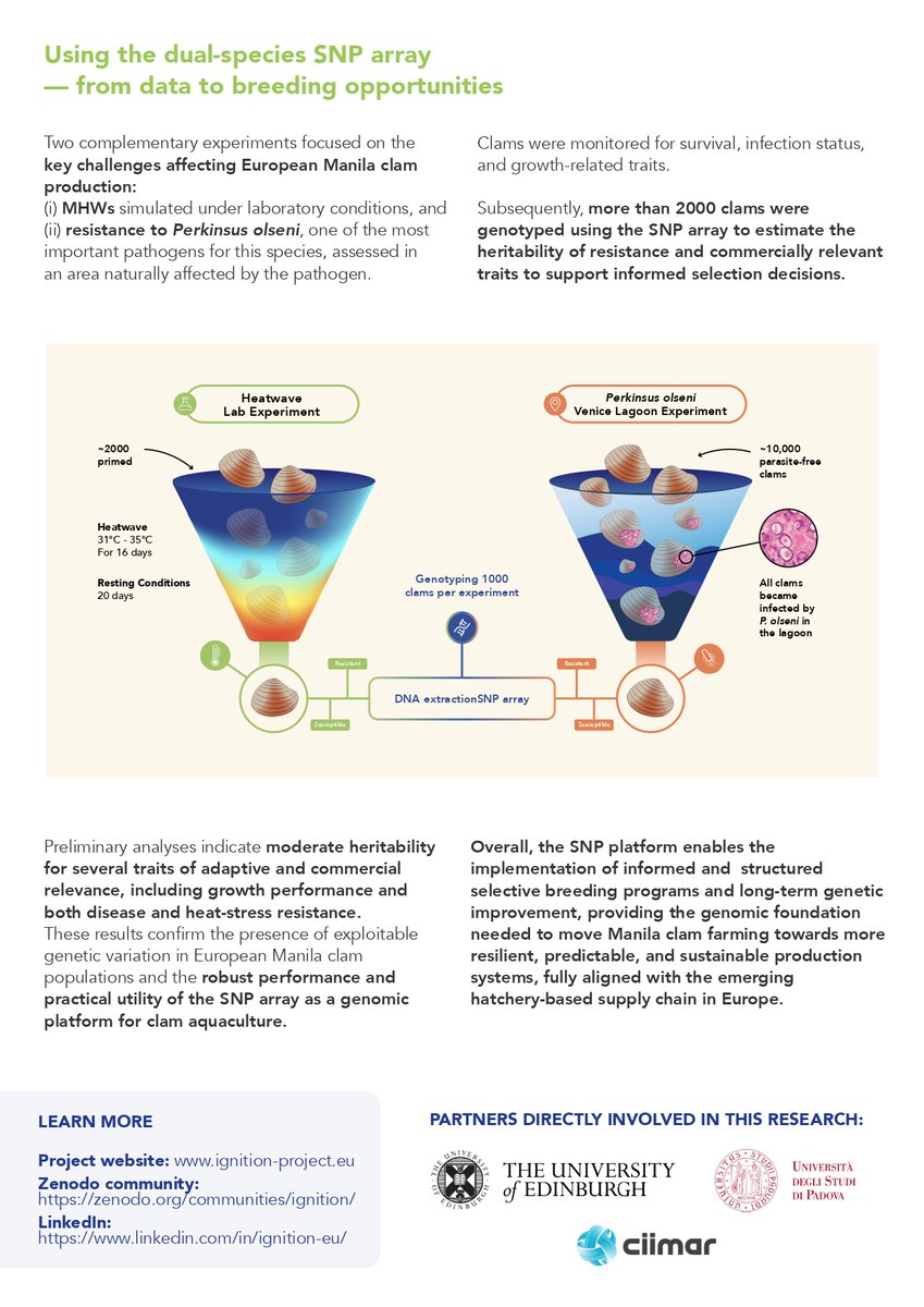 IGNITION tweet media