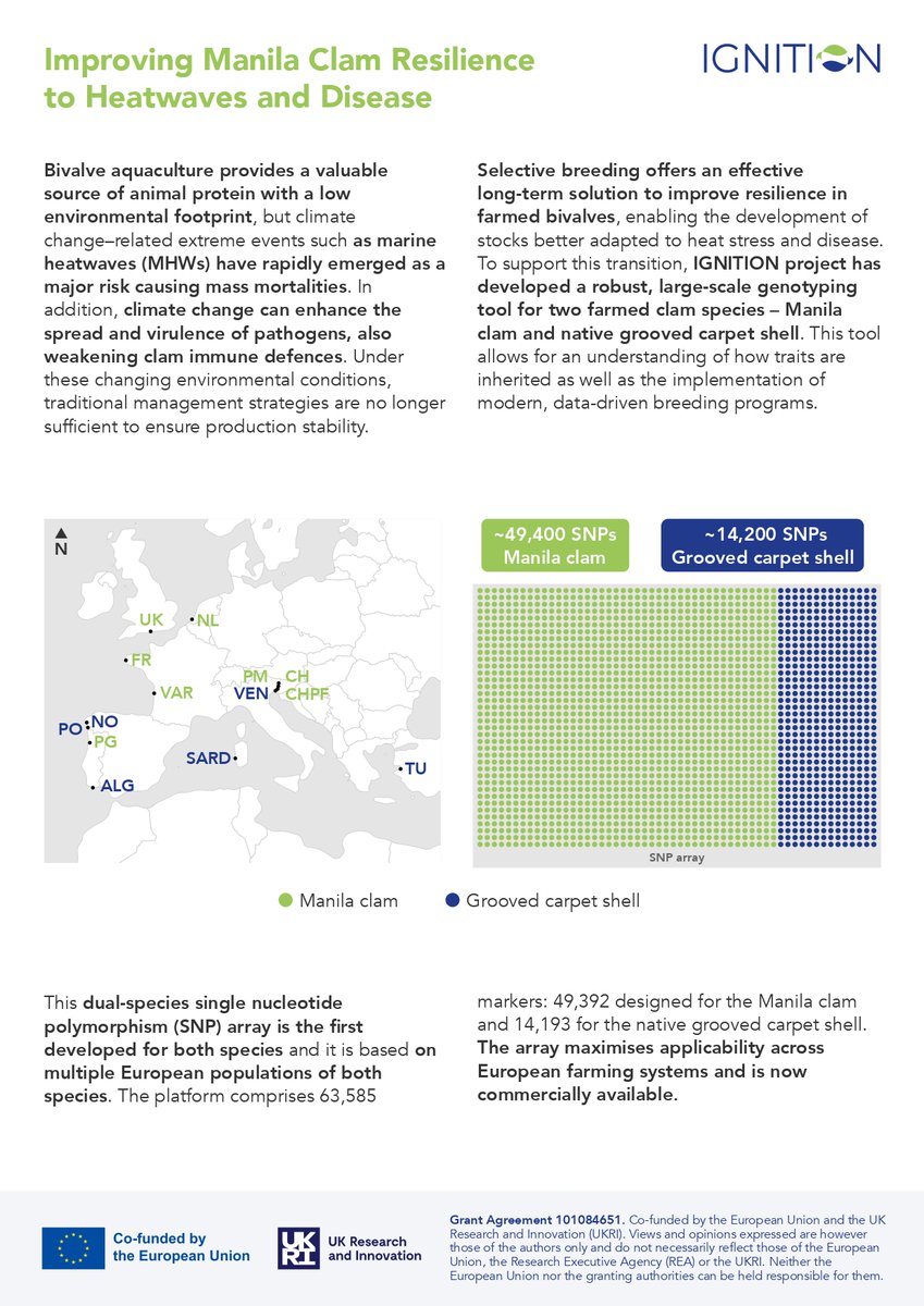 IGNITION tweet media