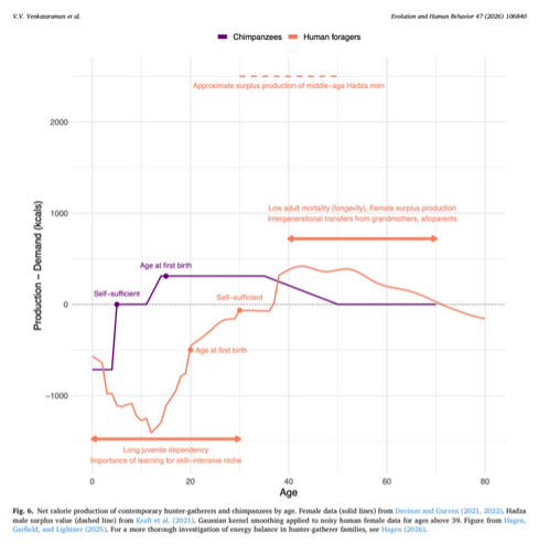 Luke Glowacki tweet media
