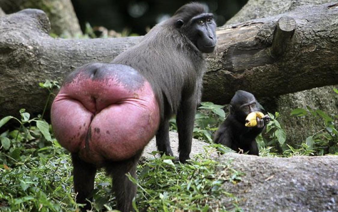 Adri (pero sin título) tweet media