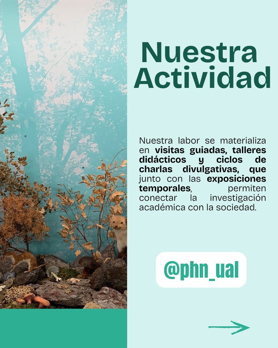 Pabellón Historia Natural de la UAL tweet media