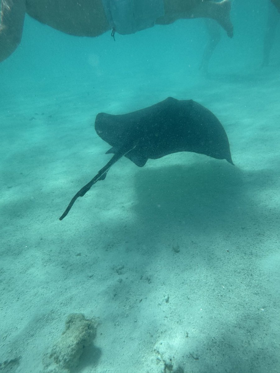 Die Kaua aus Hamm / Westfalen tweet media