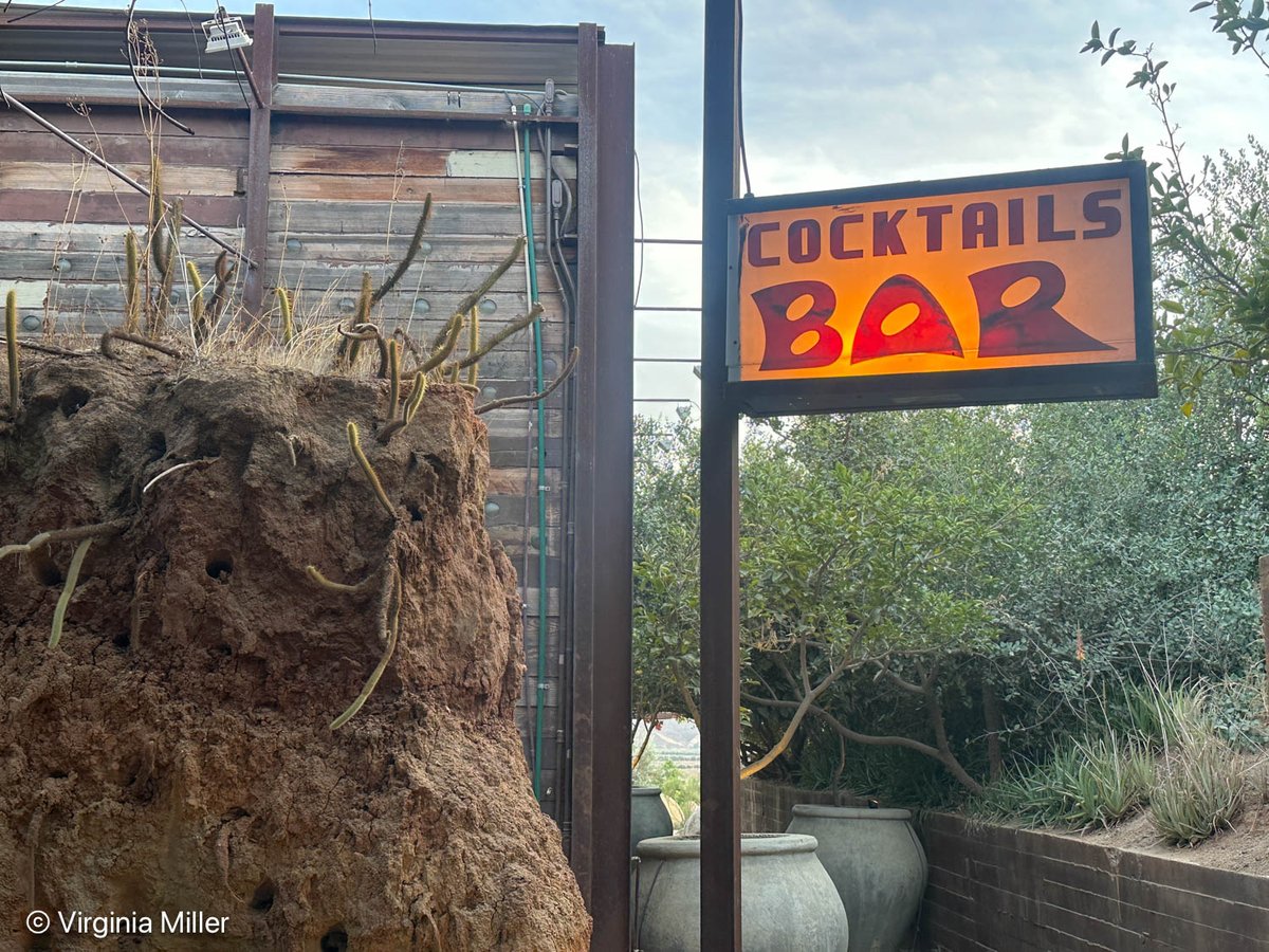 Virginia Miller tweet media