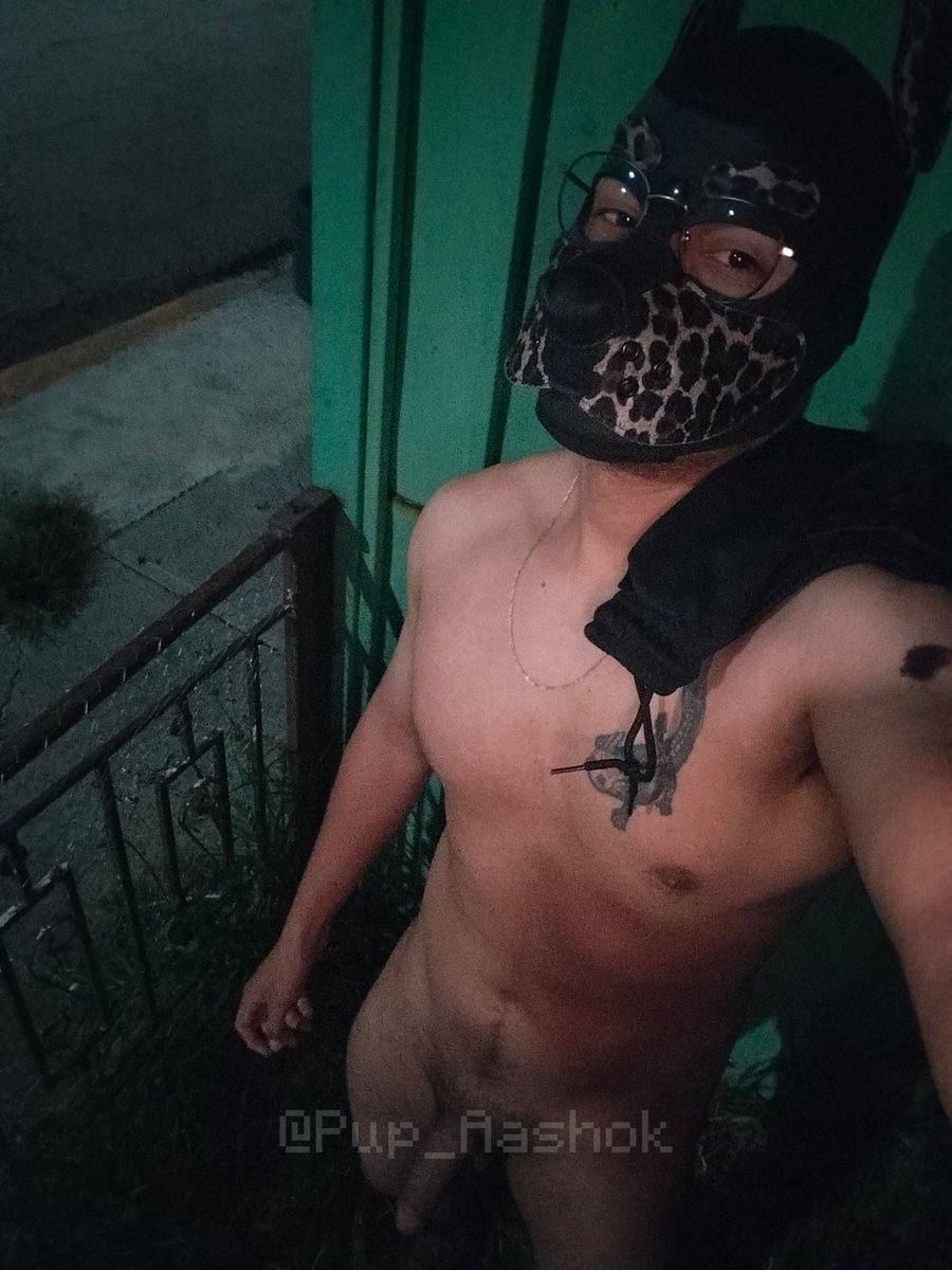 Puppy Aashok / Aash tweet media