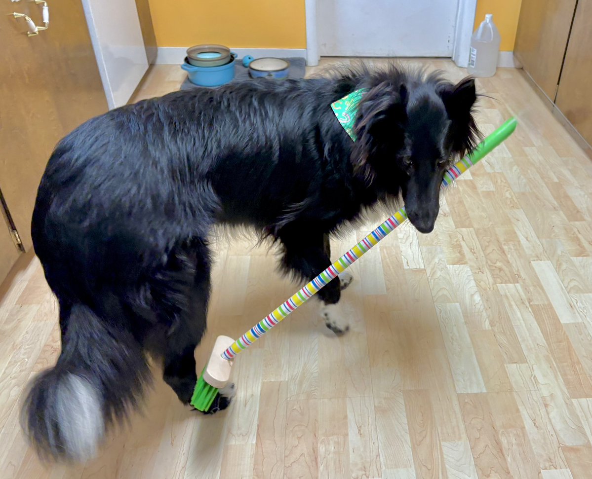 The Snoopervisor 2.0 /Moses (Wilma🌈) tweet media