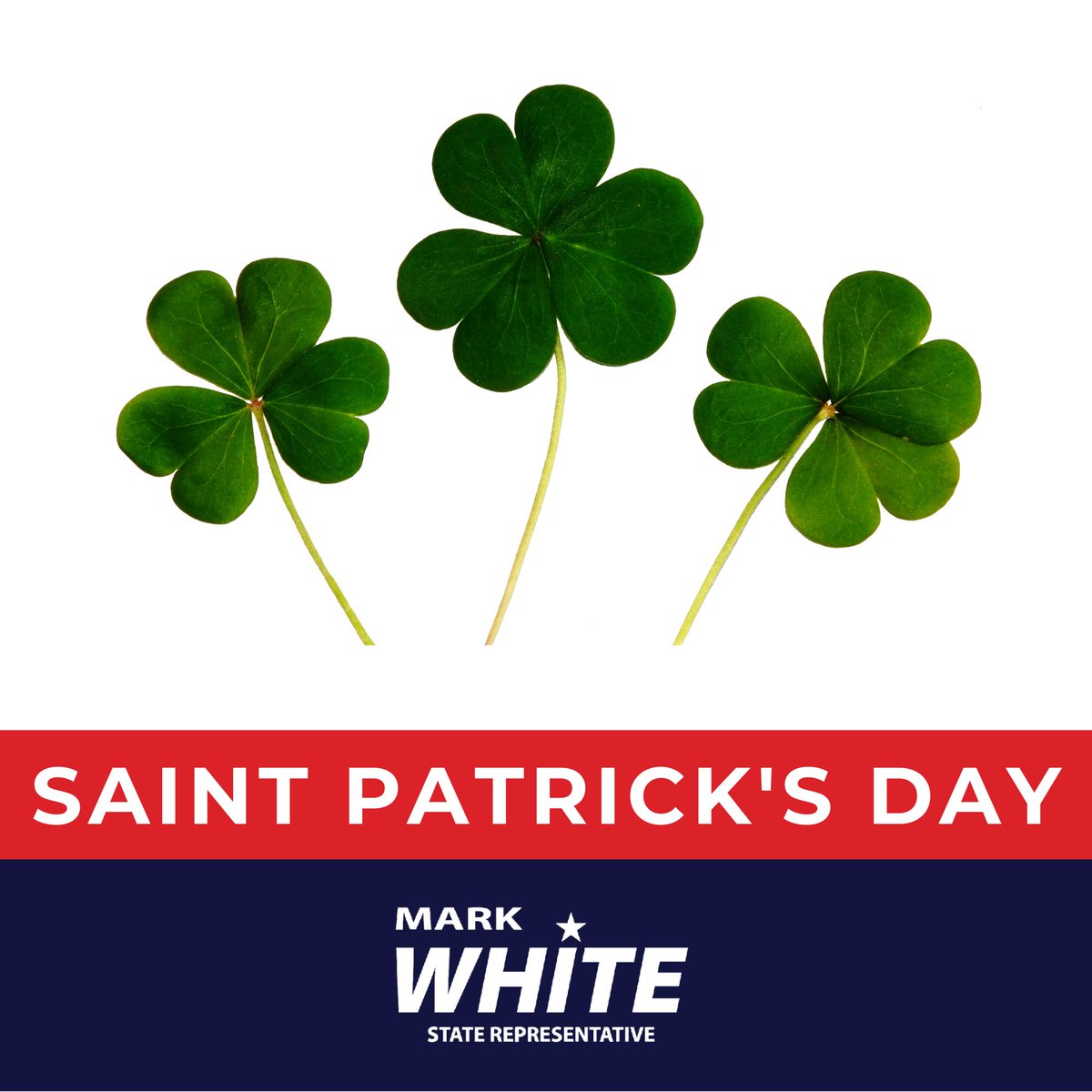 Representative Mark White tweet media