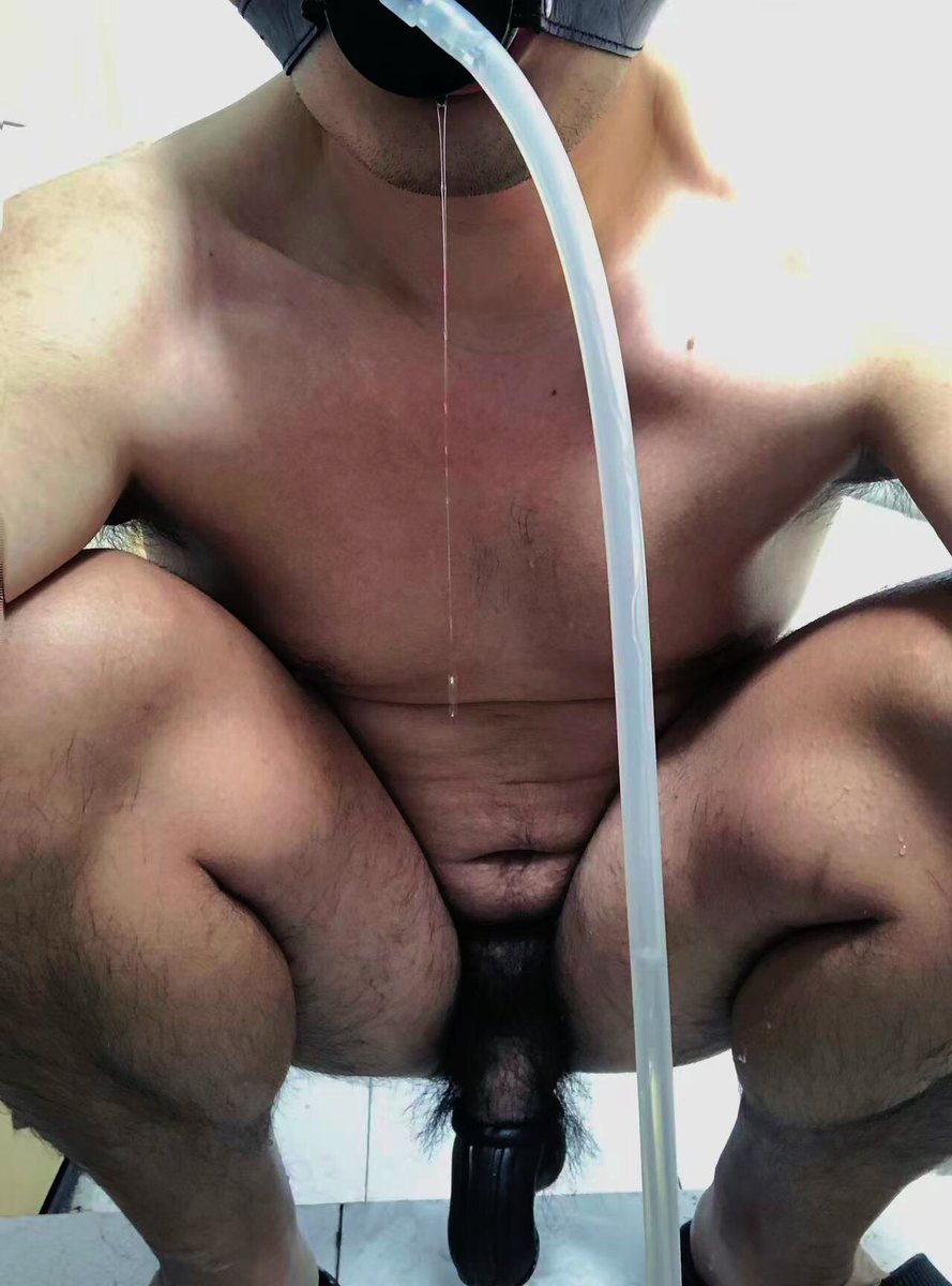 大虎禾武 tweet media