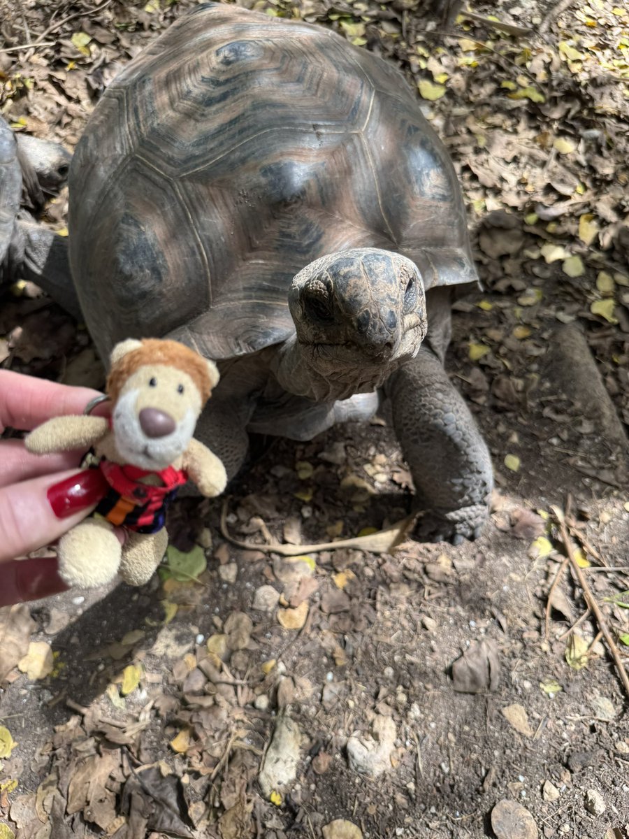 Die Kaua aus Hamm / Westfalen tweet media