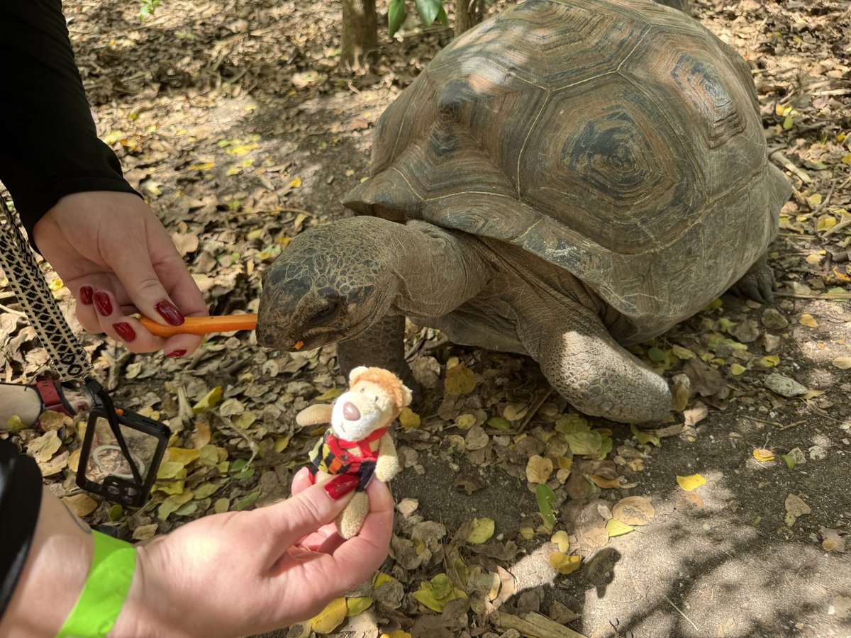 Die Kaua aus Hamm / Westfalen tweet media