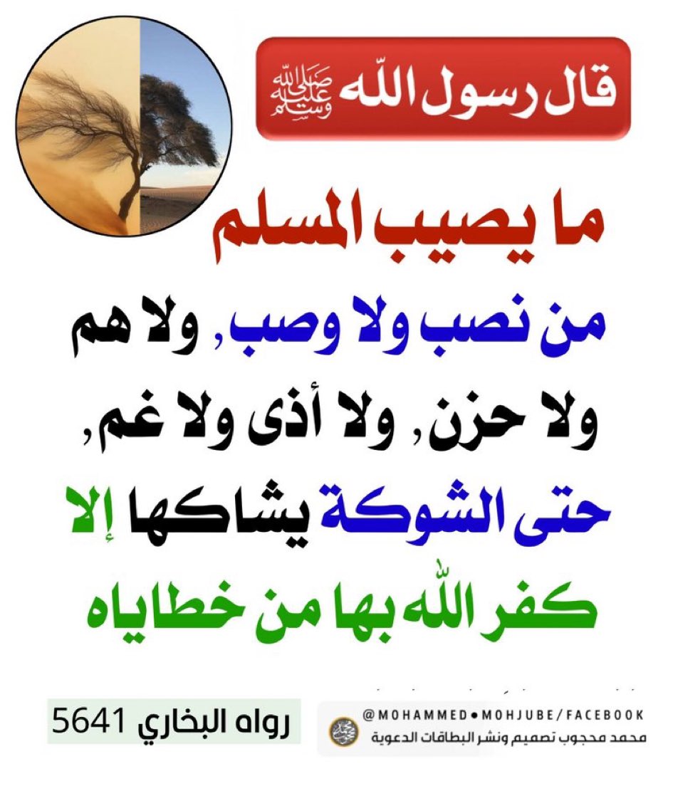 fadelsalih5's tweet photo. https://t.co/1CLb5CAcAl