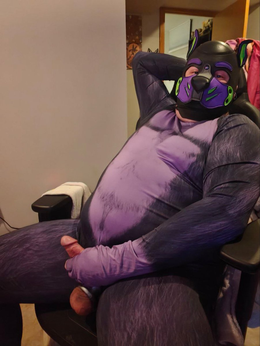 Shadow the Wusky tweet media