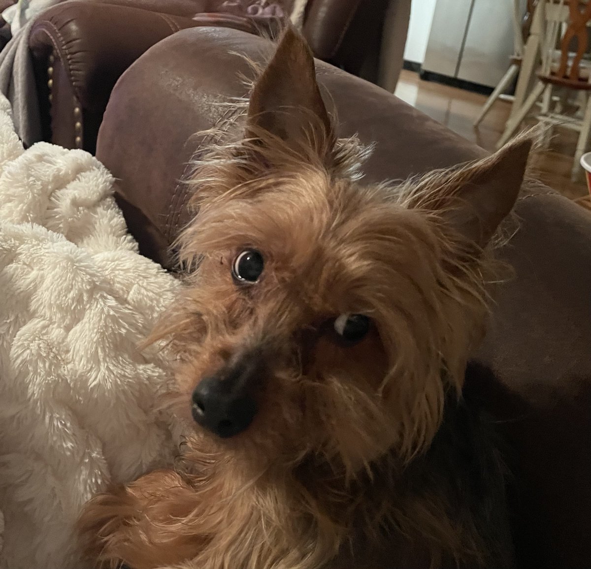 Lonnie Rowe tweet media