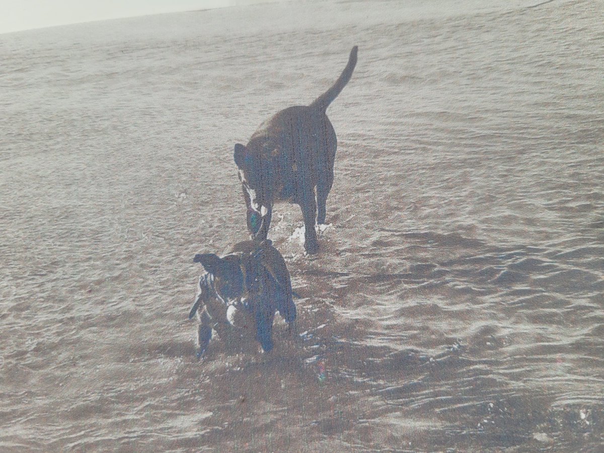 stephen roberts tweet media