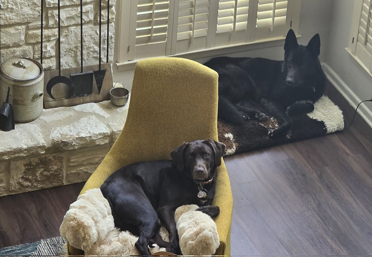 Nerdrotic tweet media