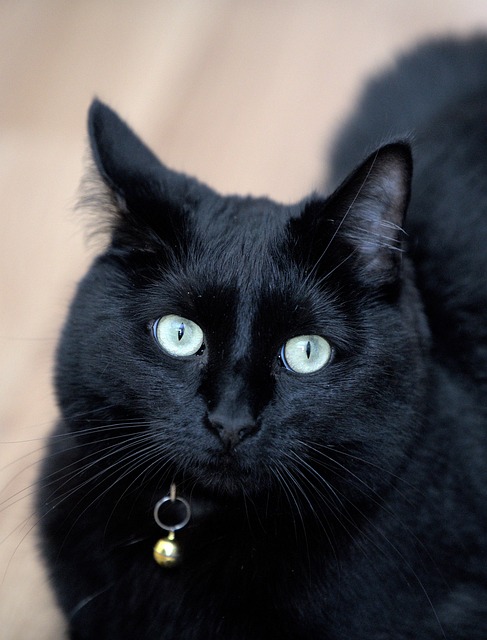 Raul Barrسَُــكَُـسَُ سِِكُسْ_كتَابNEED tweet media