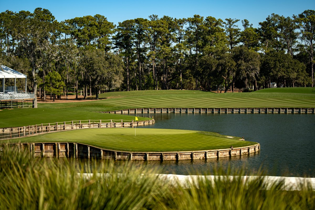 Bernhard and Company tweet media