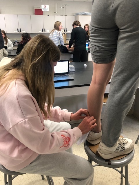 Pacific High School tweet media