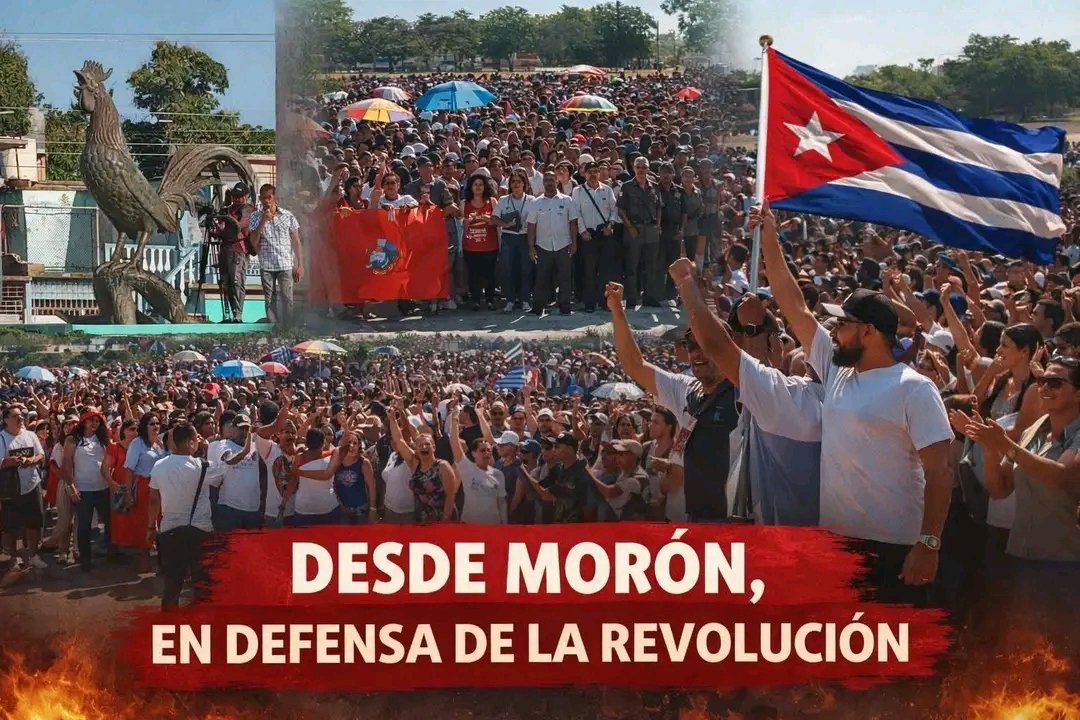 El Necio tweet media