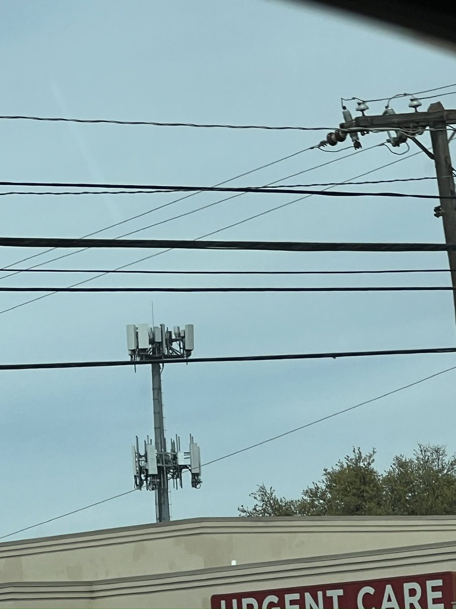 Golah Fish tweet media