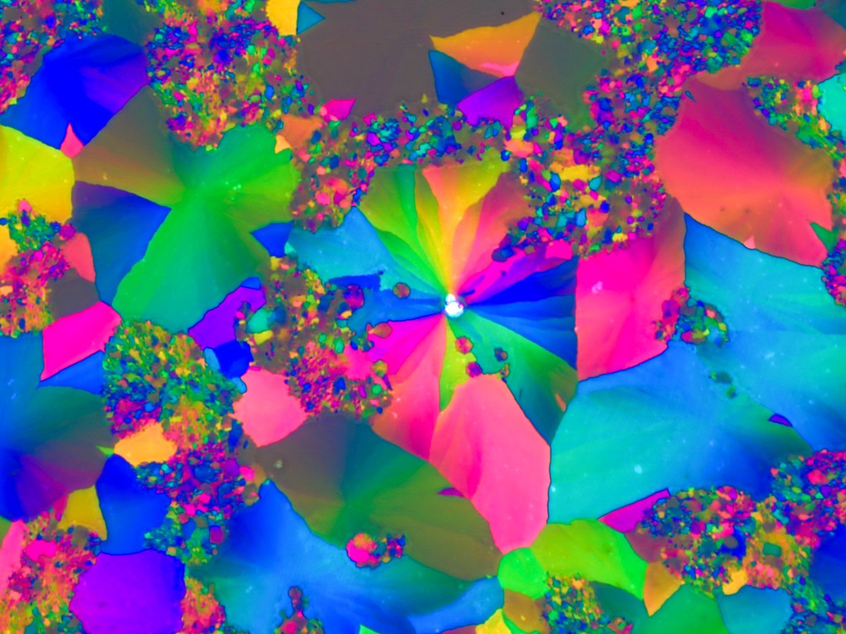 Marine Biological Laboratory (MBL) tweet media