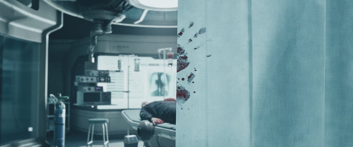 Troy 🇦🇺 tweet media