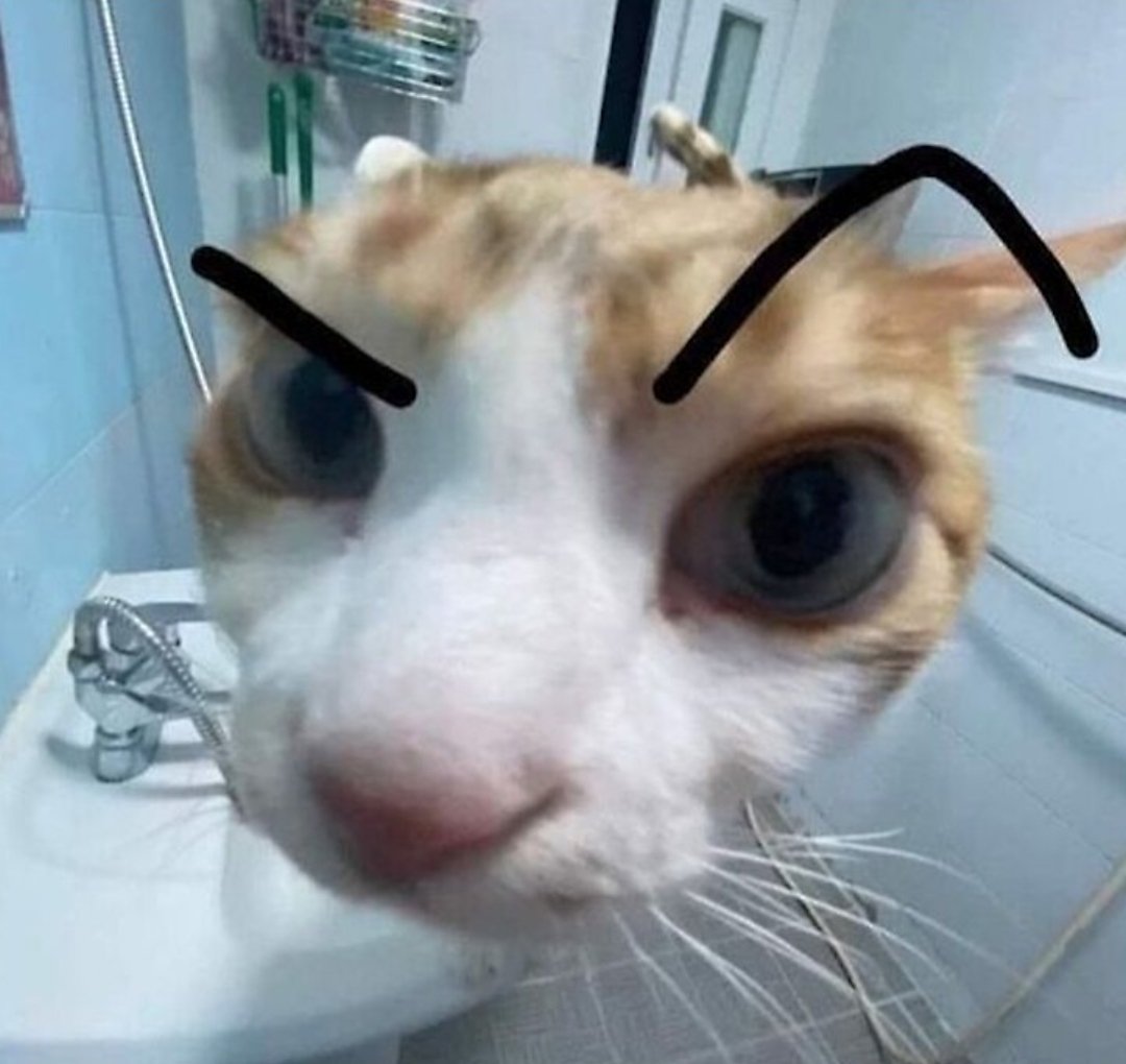 slowlonglah tweet media