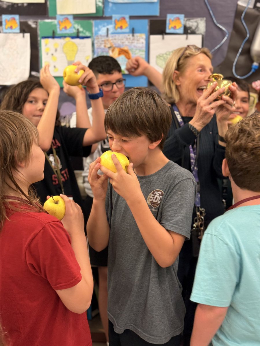 collierschools's tweet photo. Weโre #CCPSProud to share that Julie Raymond @OESChiefs is our 4th #CFLGoldenApple recipient of the day who coincidentally teaches 4th grade! Oh, and sheโs been teaching 44 years! ๐๐ป Time to play the lottery, Julie! @Champs4Learning @suncoastcu #FLPublicSchoolProud https://t.co/6RDQLRNz4k