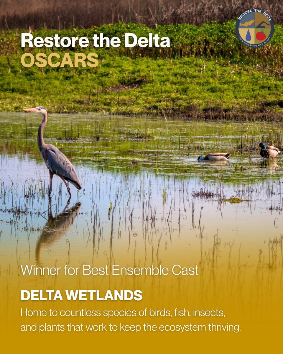 Restore the Delta tweet media