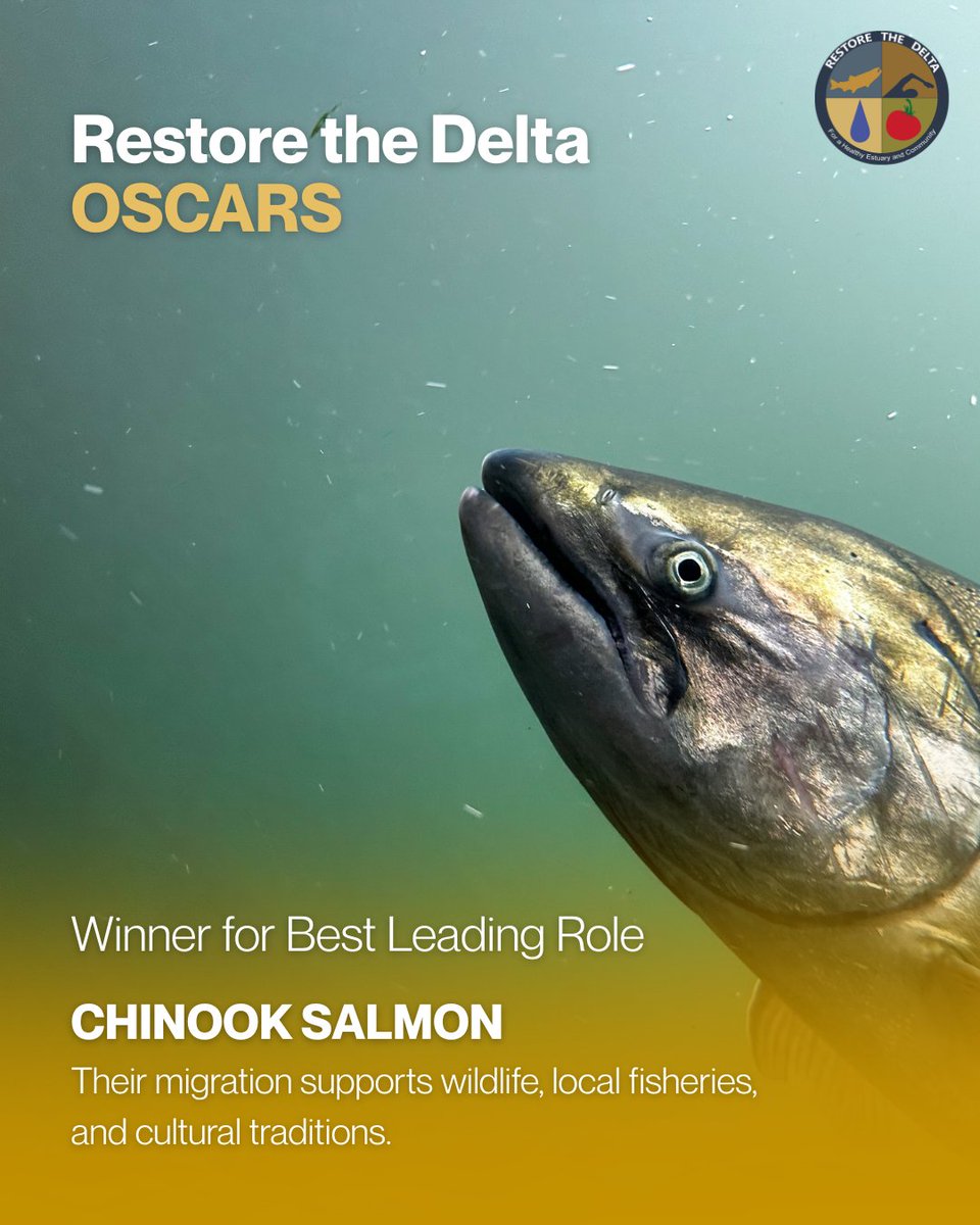Restore the Delta tweet media