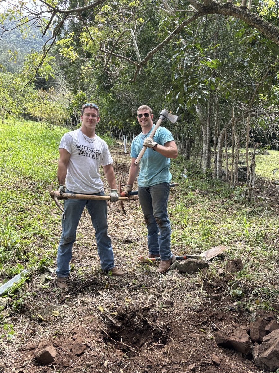 Hillsdale Football tweet media