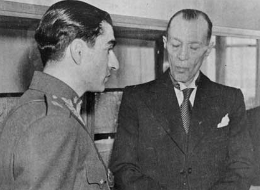 don | دُن tweet media