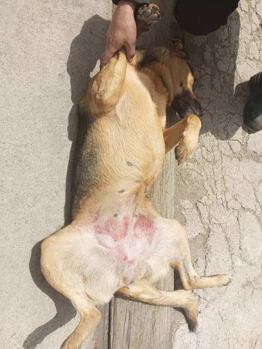 Jois ✨ tweet media