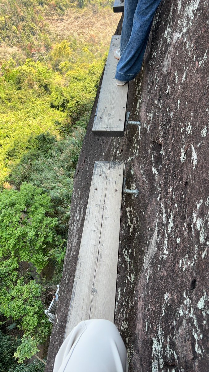 paul paul tweet media