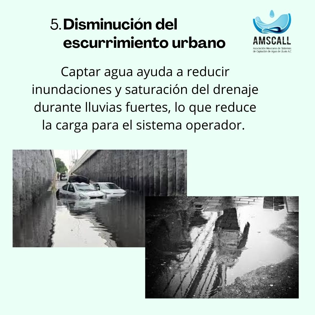 amscall_mx's tweet photo. https://t.co/ruQ5AzxIfn