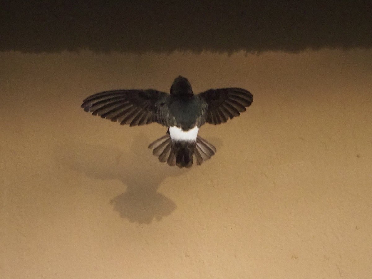 Brian E.Carruthers tweet media