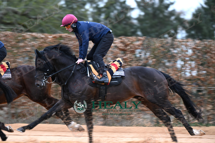 Pat Healy tweet media