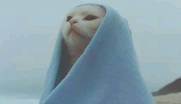 مُــحـتــرمـَᷟـــͥـــہ🦂 tweet media