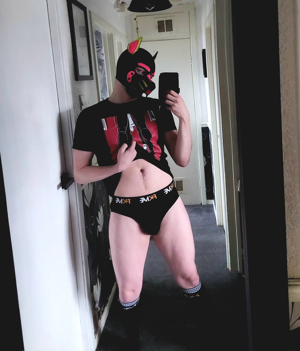 Pup Jacques tweet media