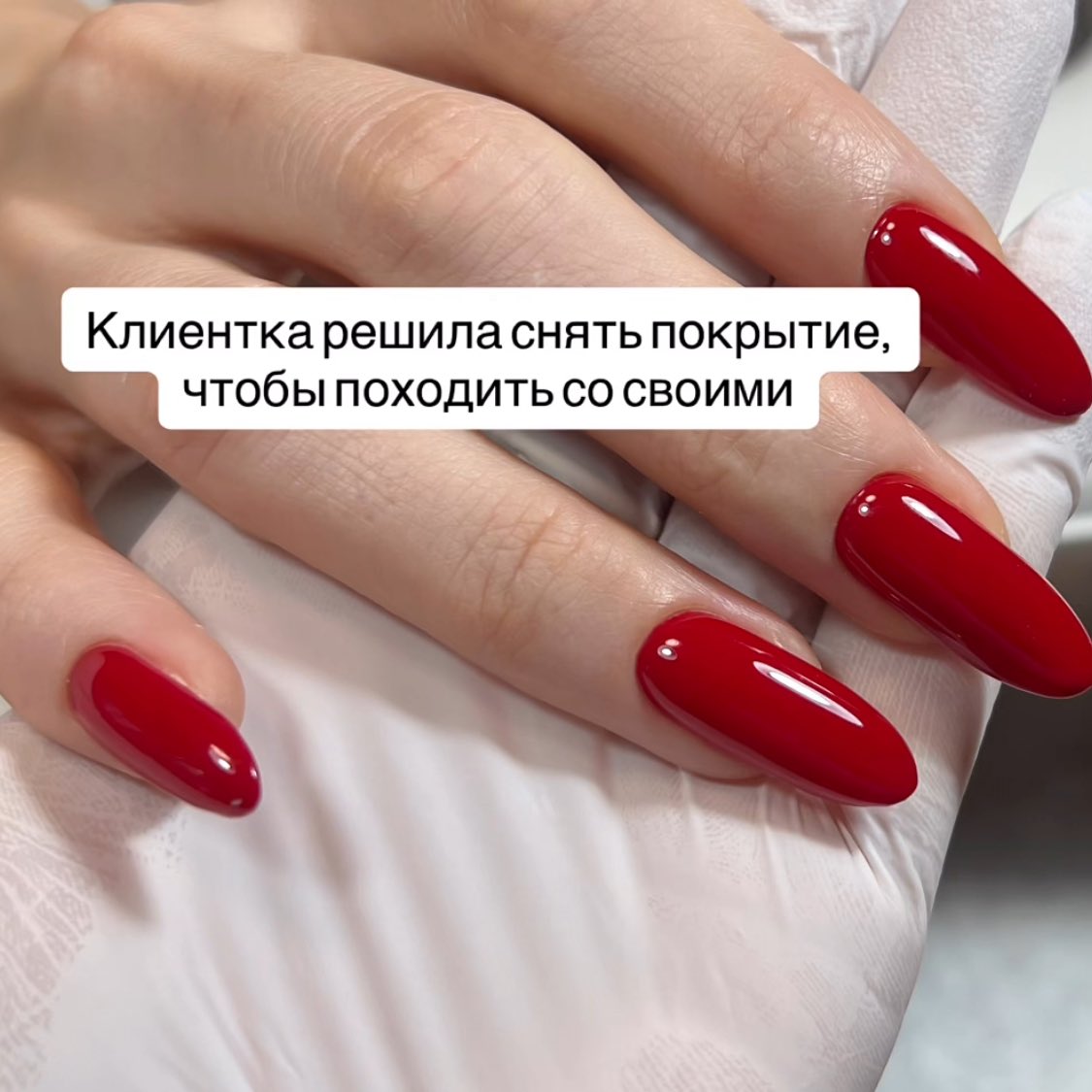 вика без контекста tweet media