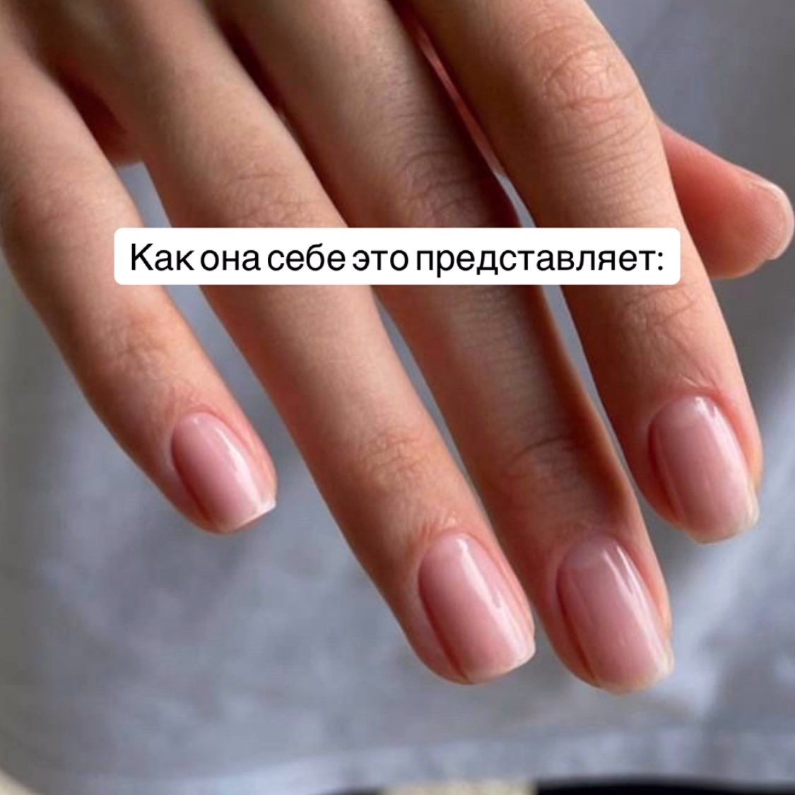 вика без контекста tweet media