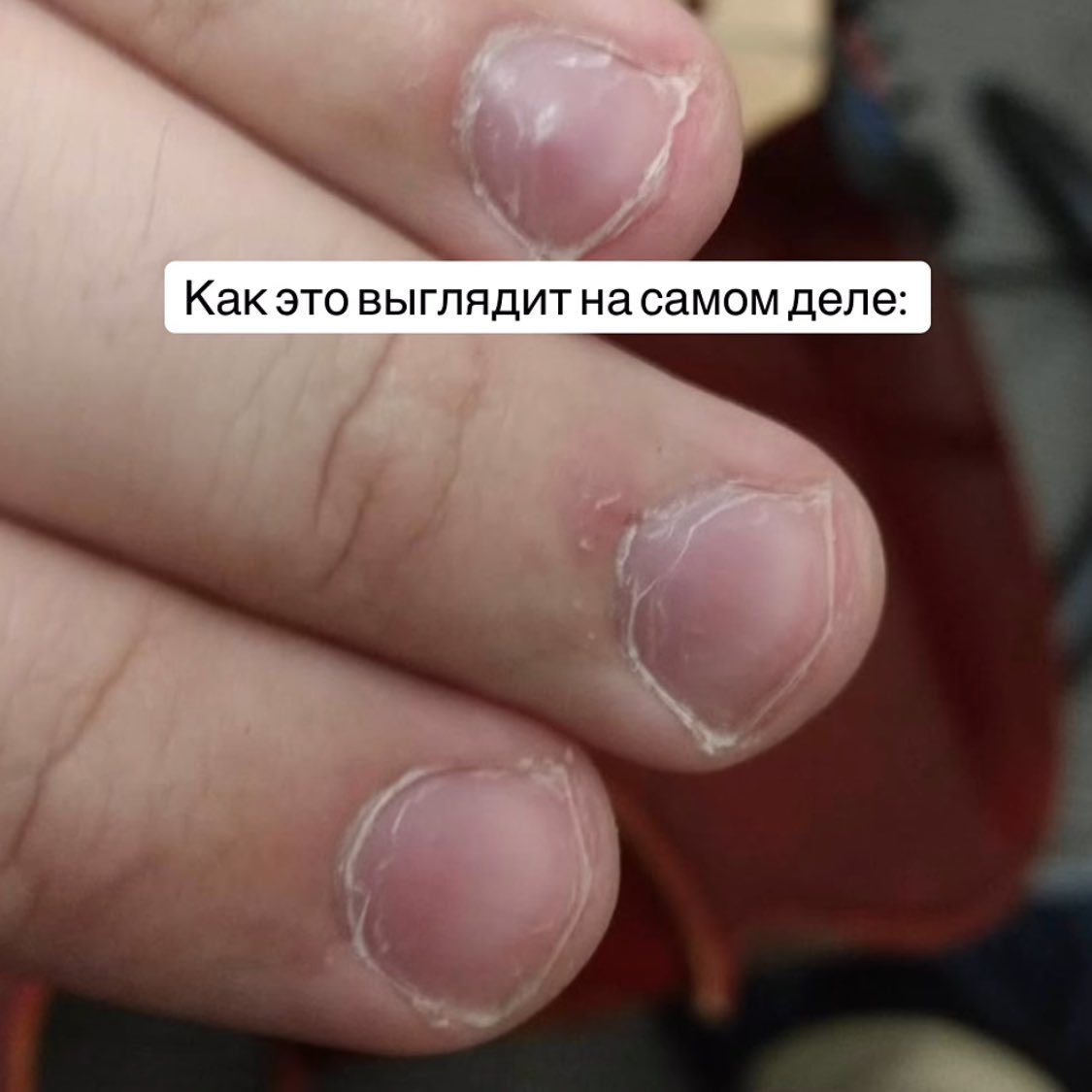 вика без контекста tweet media