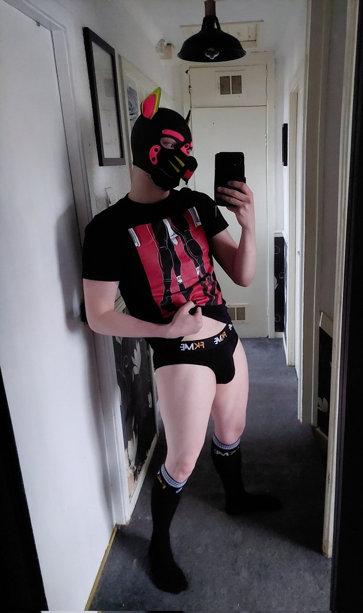 Pup Jacques tweet media