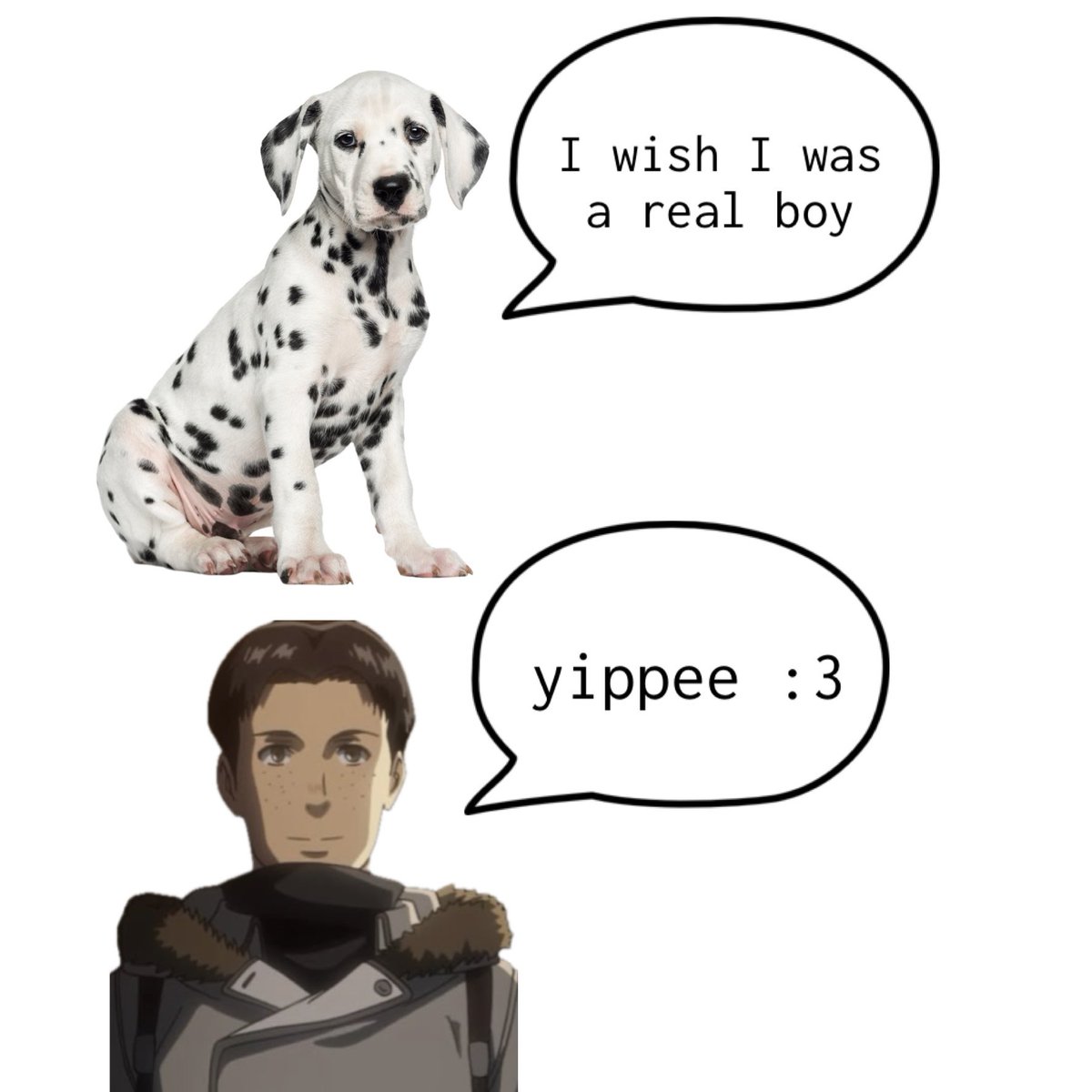 marco bodt enthusiast 🌙 ⭐ tweet media