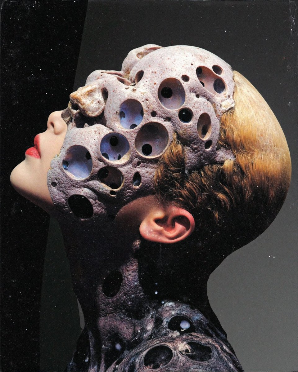 ρŁ𝐀𝔰Ｍʘ tweet media