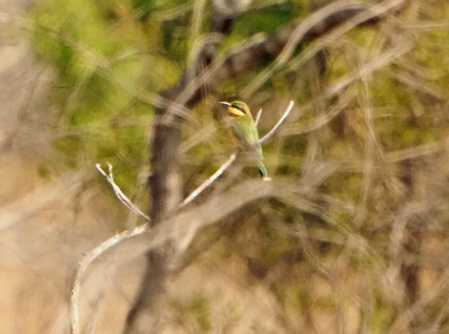 Brian E.Carruthers tweet media