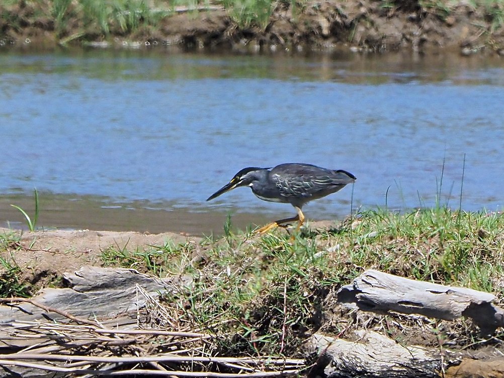 Brian E.Carruthers tweet media