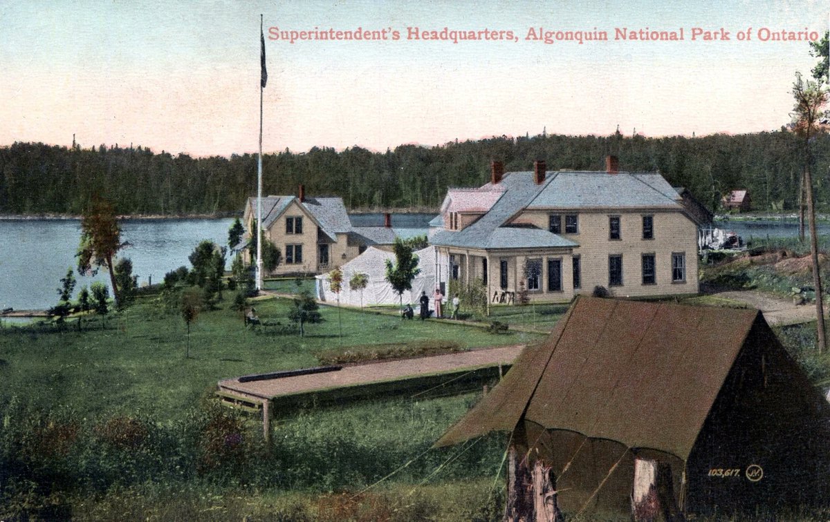 Mark Robinson tweet media