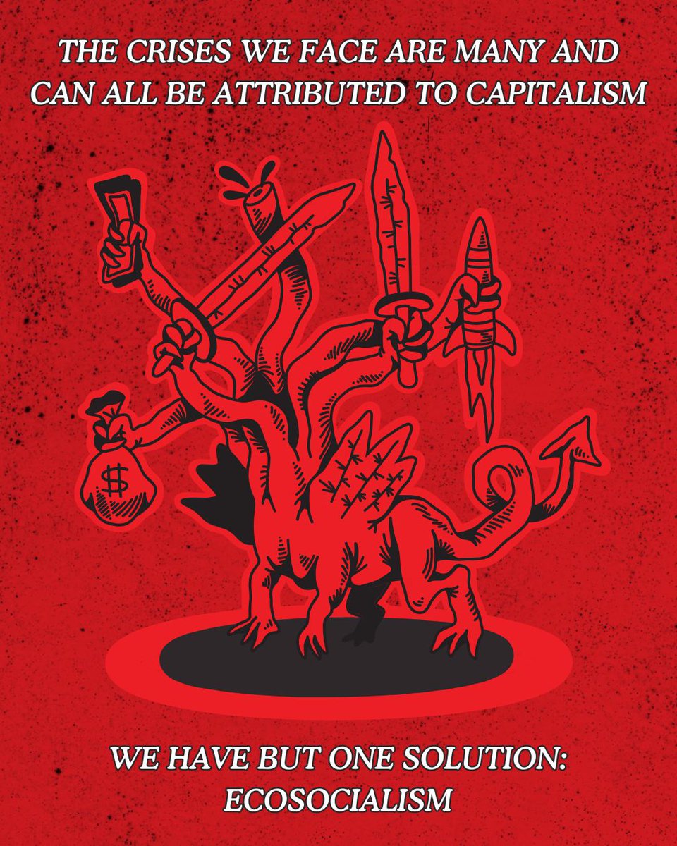 Corpus Christi DSA 🌹 tweet media