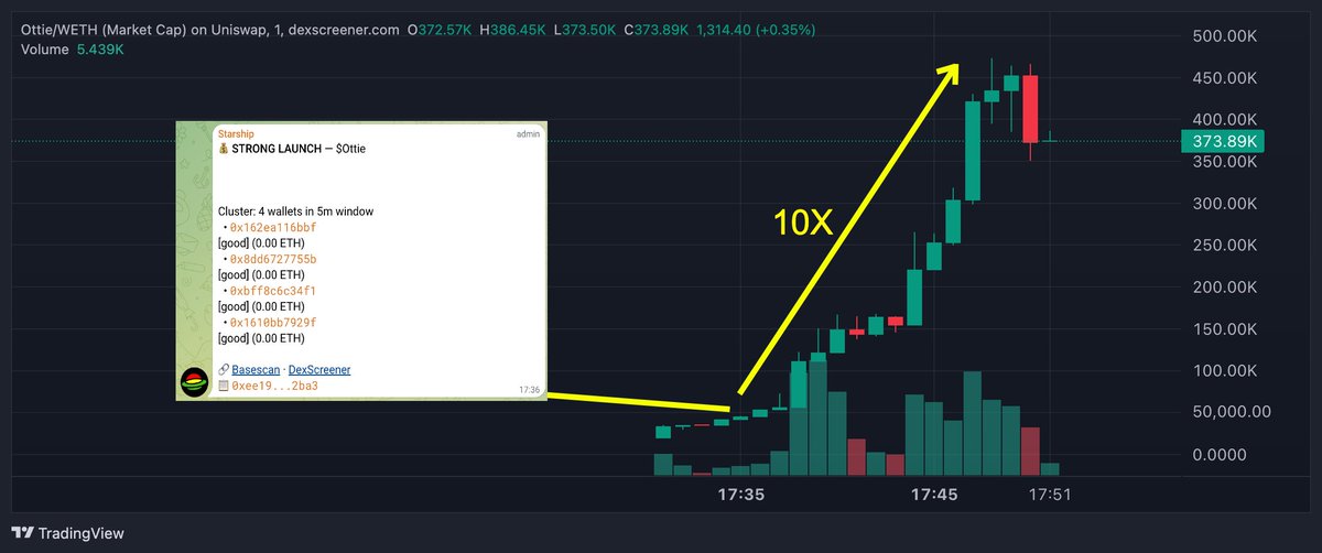 Starship tweet media