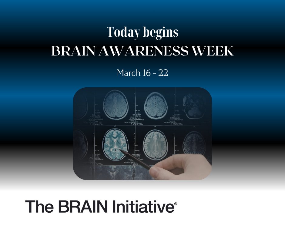 USBrainAlliance tweet media